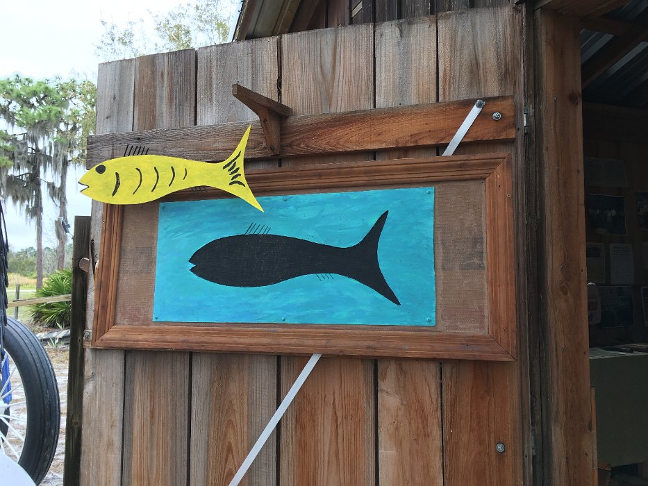 038-The fish that got away.jpg